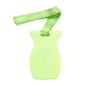 SWEET CUCUMBER SCENTSY CAR BAR