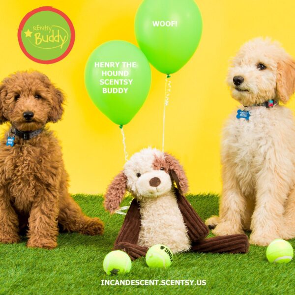 HENRY THE HOUND SCENTSY BUDDY
