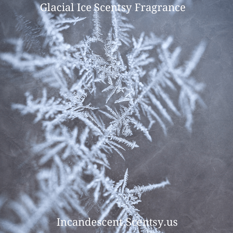 GLACIAL ICE SCENTSY SCENT CIRCLE