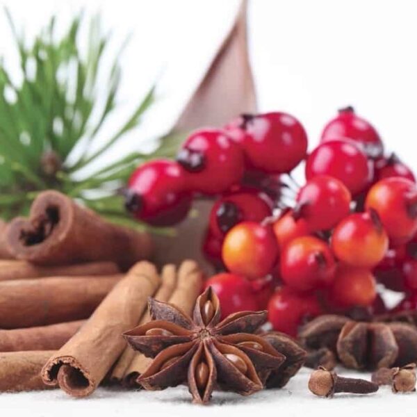 HOLLYBERRY CINNAMON SCENTSY SCENT CIRCLE