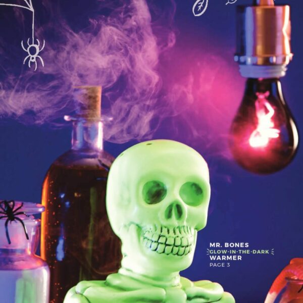 MR. BONES SCENTSY WARMER