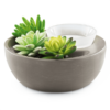 Little Garden Scentsy Warmer | Shop Scentsy | Incandescent.Scentsy.us Little Garden Scentsy Warmer | Shop Scentsy | Incandescent.Scentsy.us