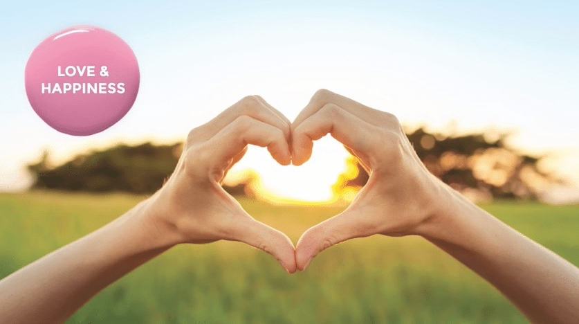 LOVE AND HAPPINESS SCENTSY ROOM SPRAY