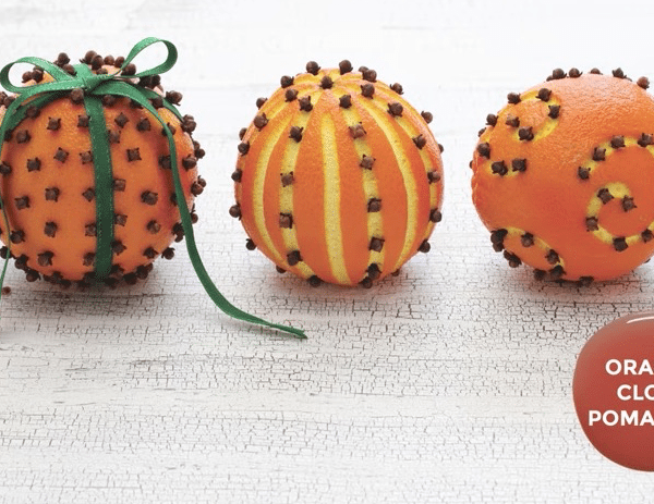 ORANGE CLOVE POMANDER SCENTSY SCENT CIRCLE