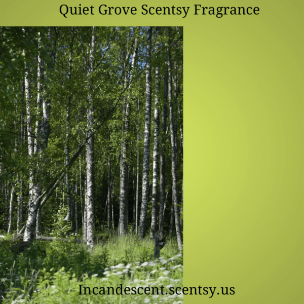 QUIET GROVE SCENTSY SCENT CIRCLE