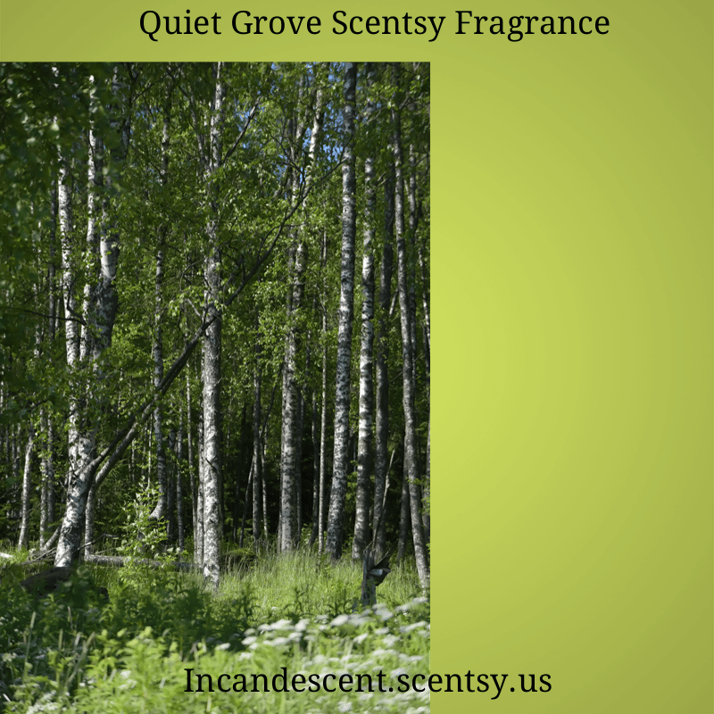 QUIET GROVE SCENTSY ROOM SPRAY
