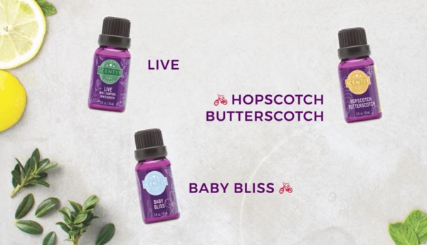 LIVE ESSENTIAL SCENTSY OIL