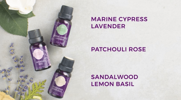 PATCHOULI ROSE SCENTSY NATURAL OIL BLEND