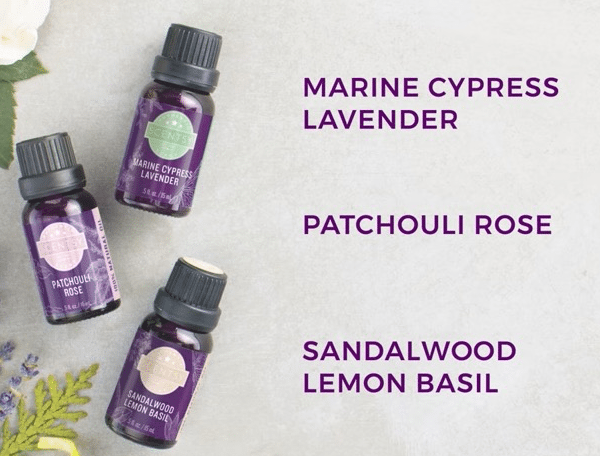 PATCHOULI ROSE SCENTSY NATURAL OIL BLEND