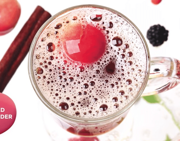 SPICED FRUIT CIDER SCENTSY SCENT CIRCLE
