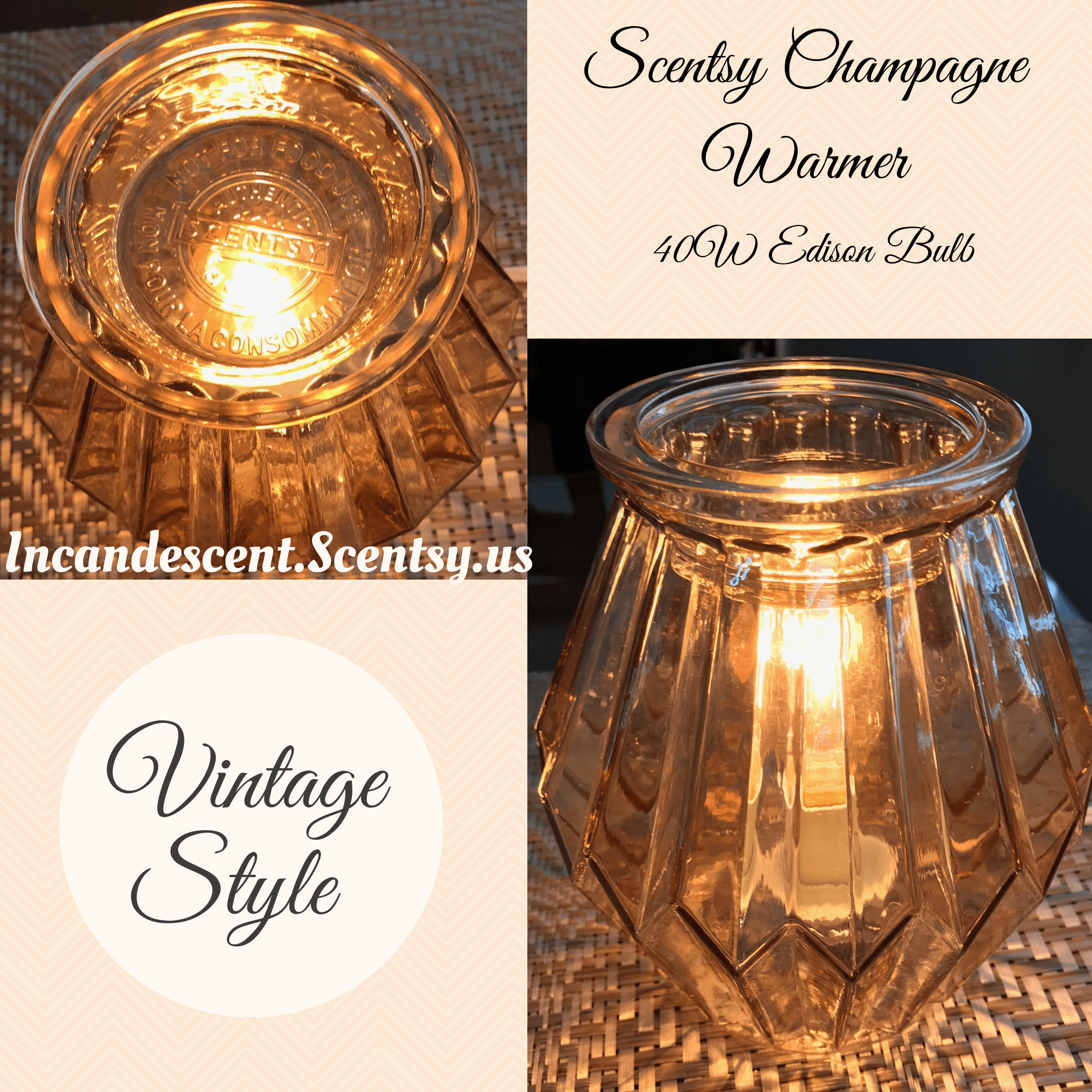new champagne scentsy warmer scentsy buy online scentsy