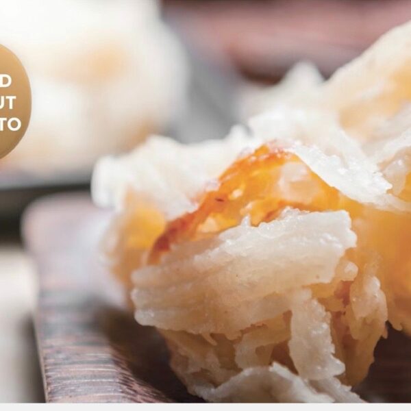 TOASTED COCONUT AMARETTO SCENTSY SCENT CIRCLE