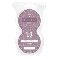 cordless scentsy warmer