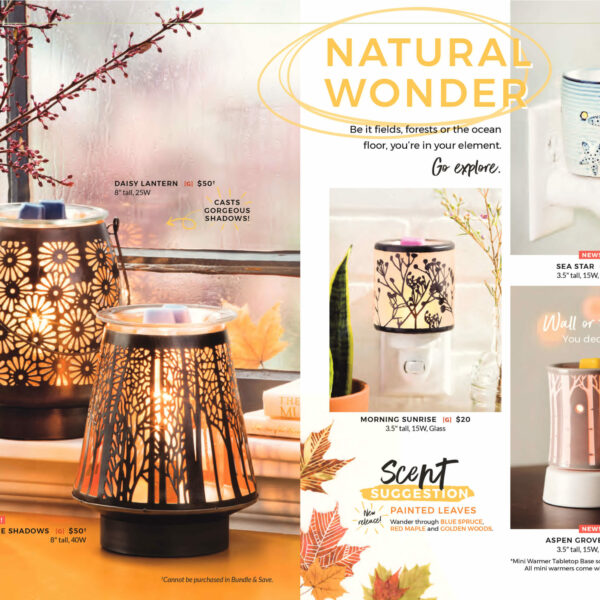 IN THE SHADOWS SCENTSY WARMER