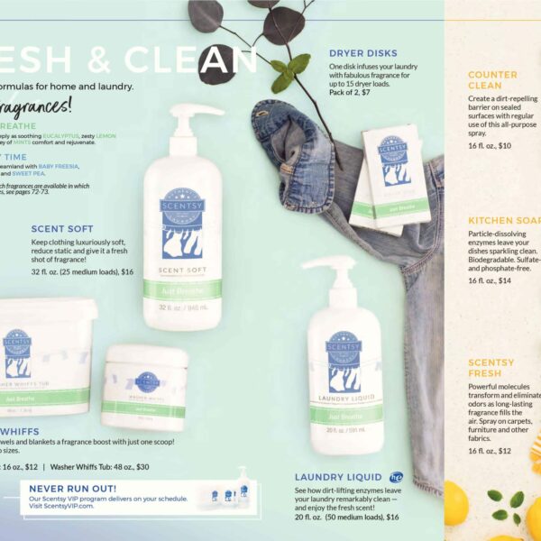 Jammy Time Scentsy Dryer Disks