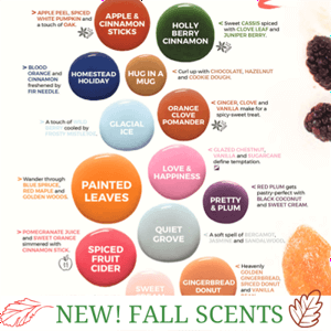 SWEET CREAM SPICE SCENTSY SCENT CIRCLE