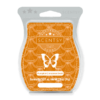 PUMPKIN CINNAMON SWIRL SCENTSY BAR | Pumpkin Cinnamon Swirl Scentsy Bar | Incandescent.Scentsy.us PUMPKIN CINNAMON SWIRL SCENTSY BAR | Pumpkin Cinnamon Swirl Scentsy Bar | Incandescent.Scentsy.us