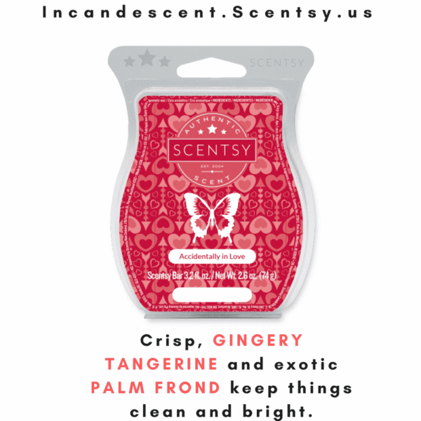 ACCIDENTALLY IN LOVE SCENTSY BAR