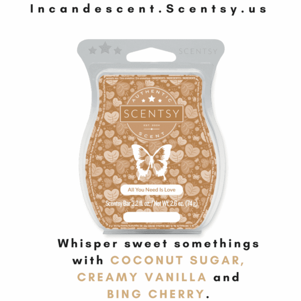 ALL YOU NEED IS LOVE SCENTSY BAR