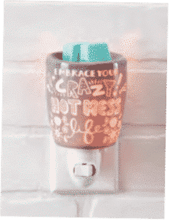 CRAZY HOT MESS NIGHTLIGHT MINI SCENTSY WARMER