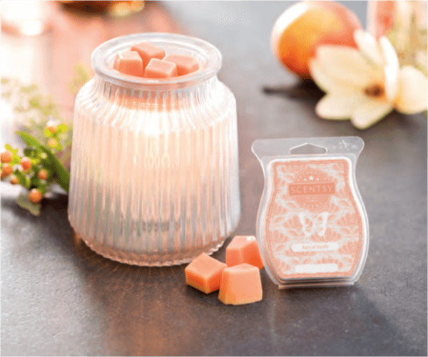 FLUTED GRAY SCENTSY WARMER