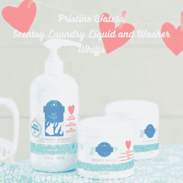 PRISTINE WATERS SCENTSY LAUNDRY WASH FOR THE HEART BUNDLE  - HABITAT FOR HUMANITY