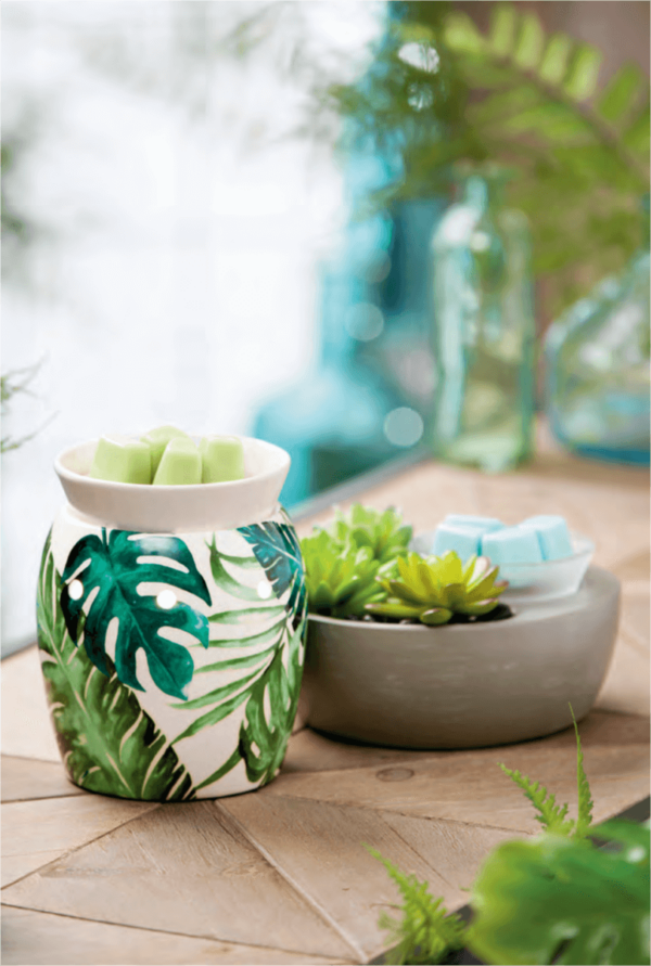 RAINFOREST FERN SCENTSY WARMER | DISCONTINUED