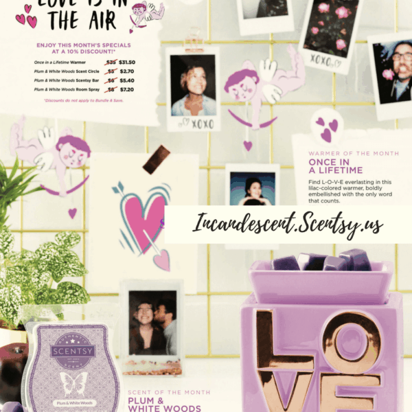 ONCE IN A LIFETIME LOVE SCENTSY WARMER