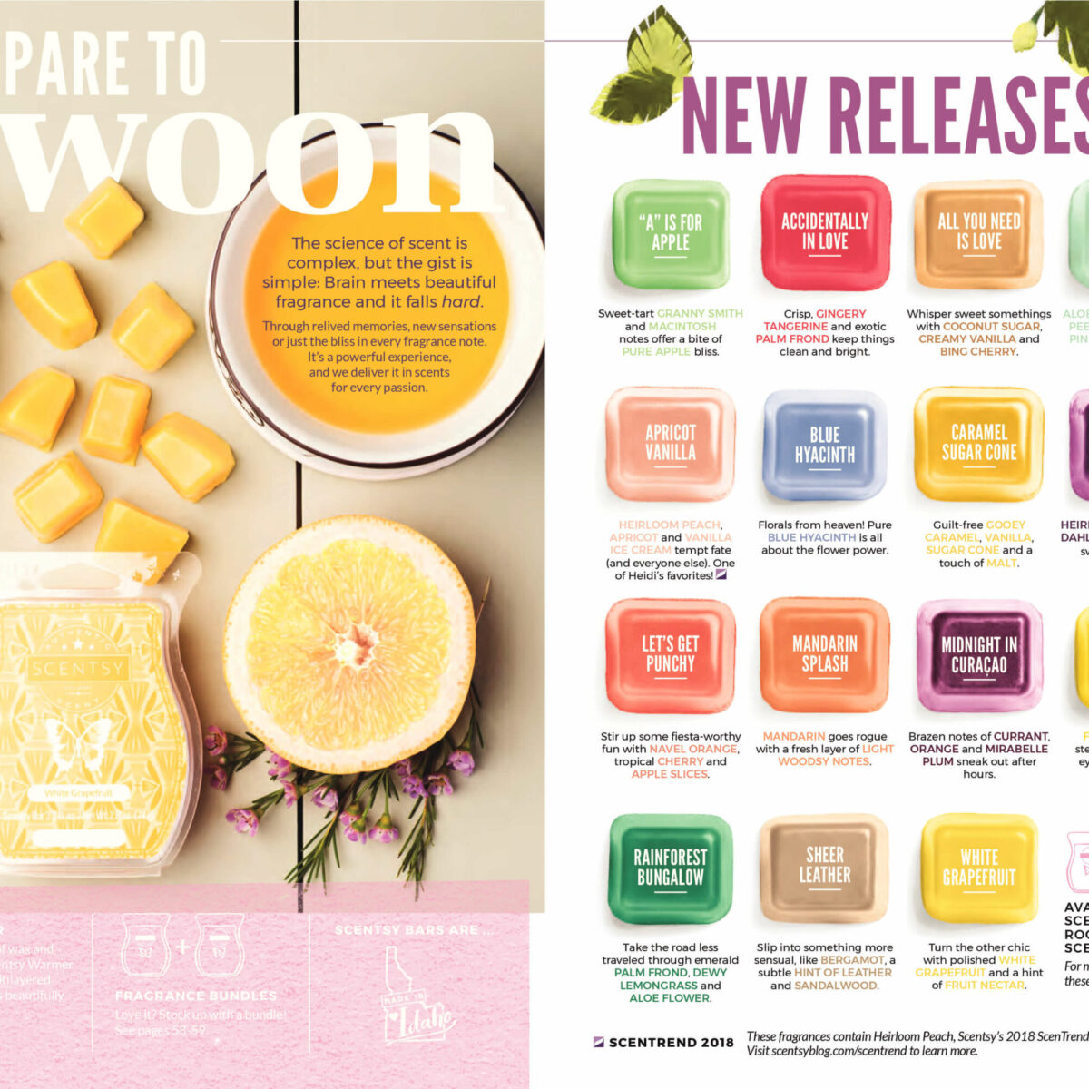 SCENTSY SPRING SUMMER 2018 CATALOG SLIDESHOW Incandescent.Scentsy.us