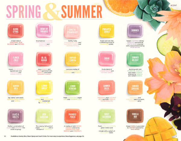 SHIMMER SCENTSY SCENT CIRCLE