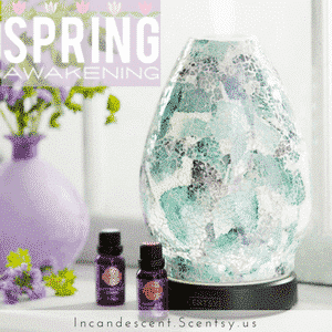 AWAKEN SCENTSY DIFFUSER SHADE ONLY