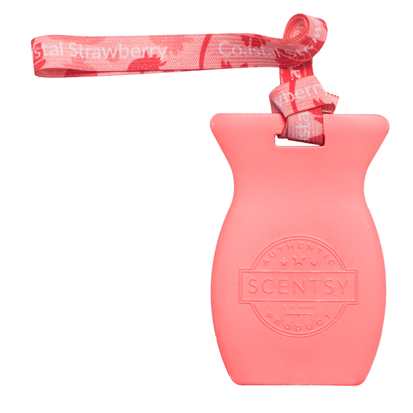 Coastal Strawberry Scentsy Car Bar COASTAL STRAWBERRY SCENTSY CAR BAR