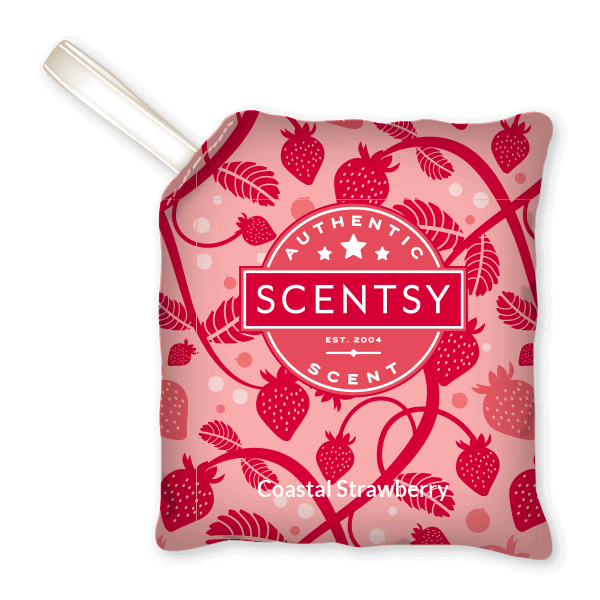 Scentsy on sale scent pak
