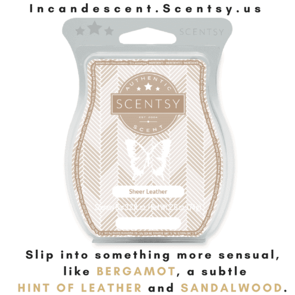 Sheer Leather Scentsy Bar