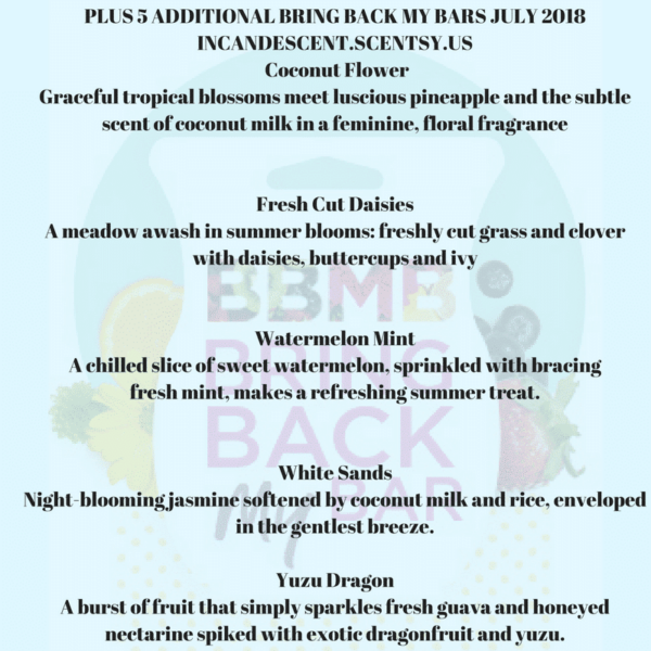 Lotus Cove Scentsy Bar