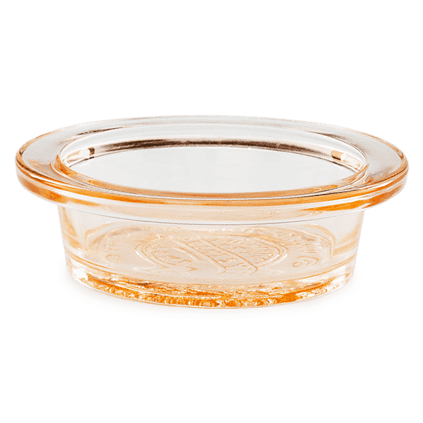 CHAMPAGNE SCENTSY WARMER DISH ONLY