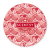 JOHNNY APPLESEED SCENTSY SCENT CIRCLE | Johnny Appleseed Scentsy Scent Circle JOHNNY APPLESEED SCENTSY SCENT CIRCLE | Johnny Appleseed Scentsy Scent Circle
