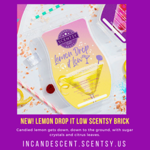 NEW! SCENTSY BRICKS - LET'S DANCE SCENTSY 2018 BRICK COLLECTION