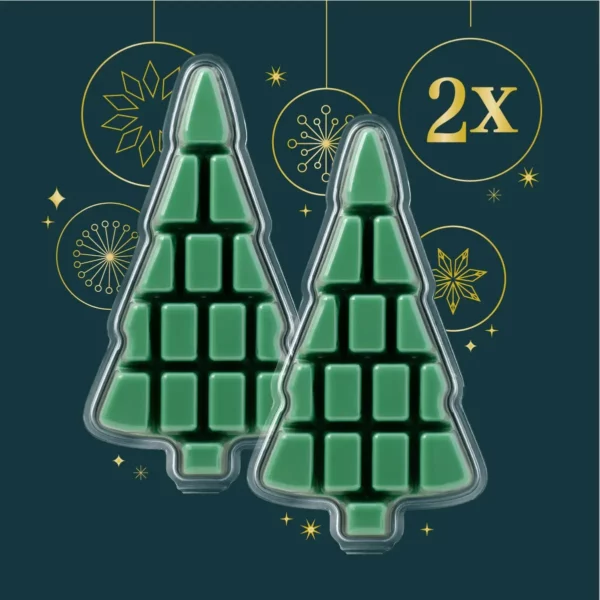 Scentsy 2024 Holiday 2 Brick Bundle