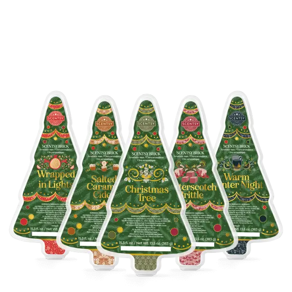 Scentsy 2024 Holiday 5 Brick Bundle ALL