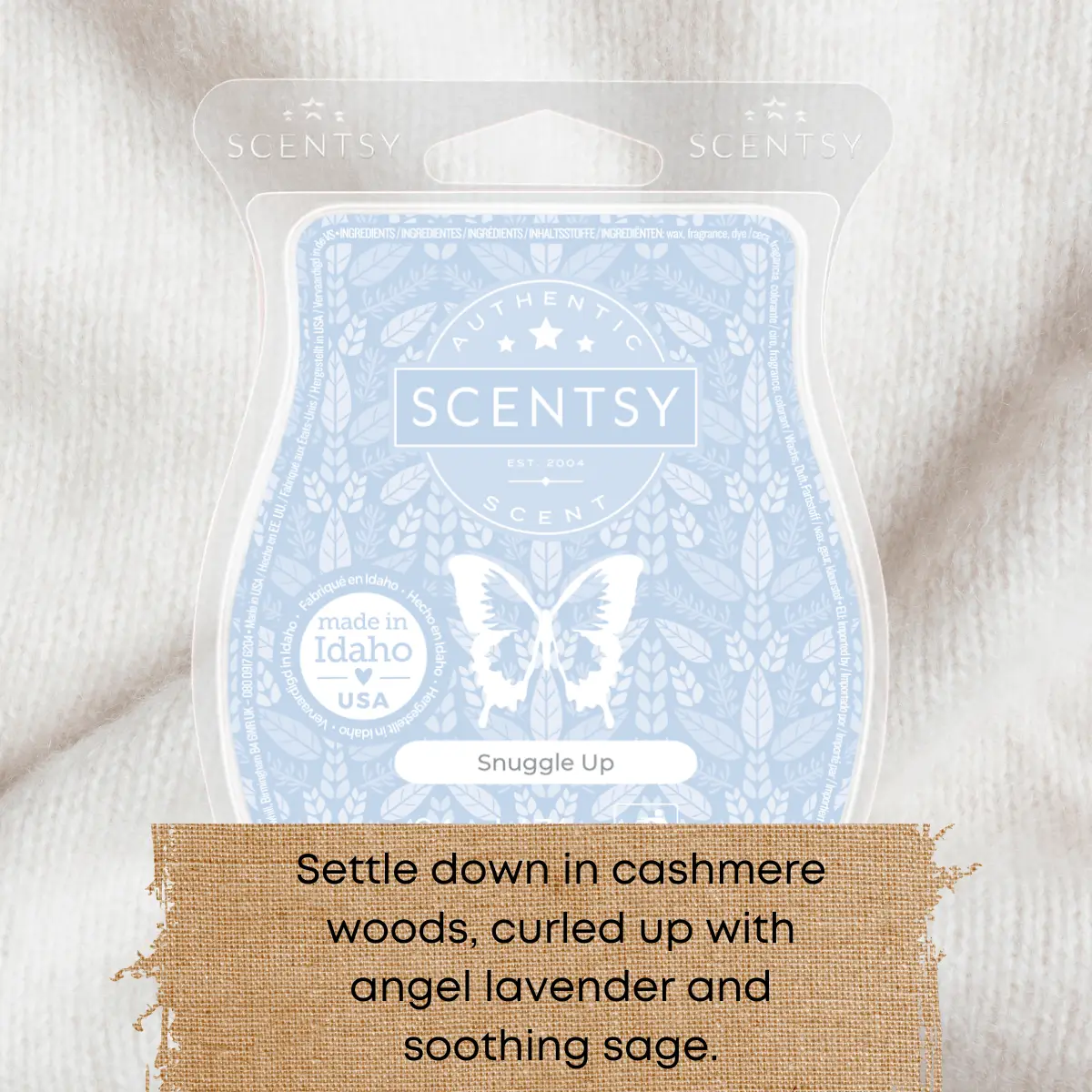 Scentsy Bring Back my Bar Winners January 2025