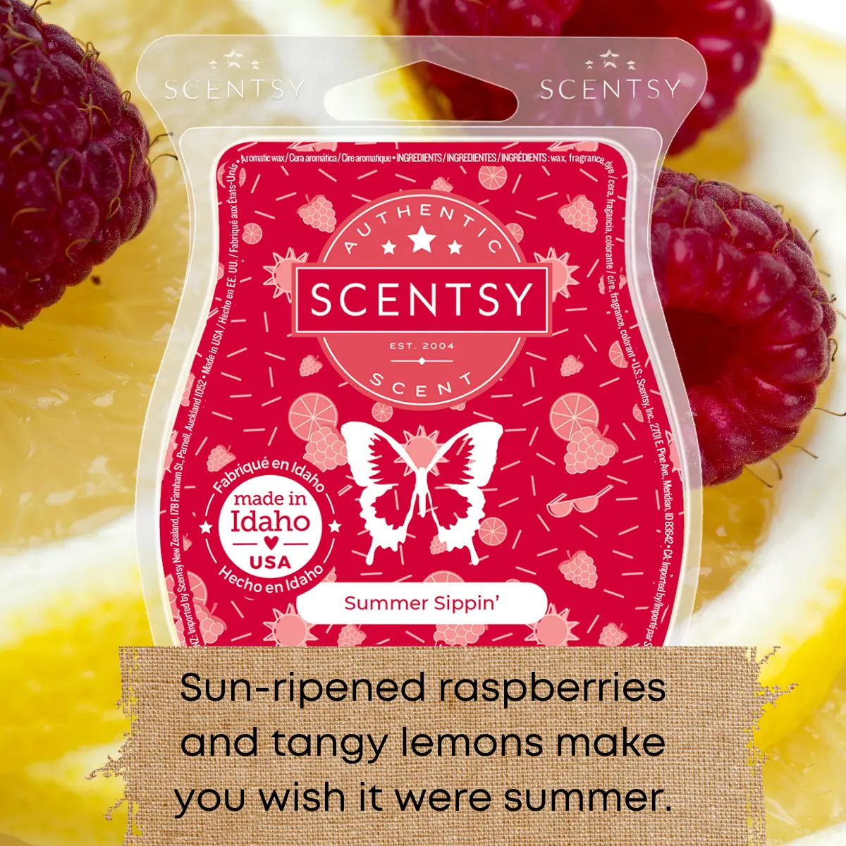 Scentsy Bring Back my Bar Winners January 2025
