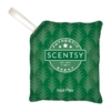 Iced Pine Scentsy Scent Pak