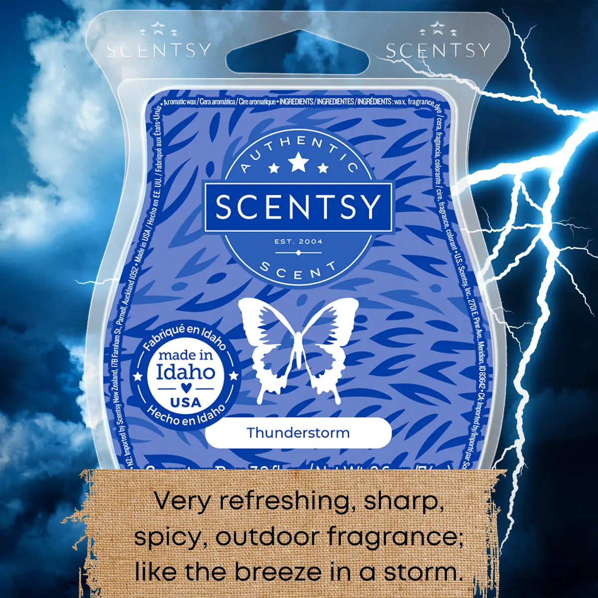 Scentsy Bring Back my Bar Winners January 2025