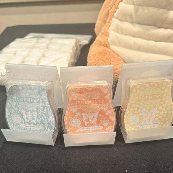 Scentsy World Tour 2024