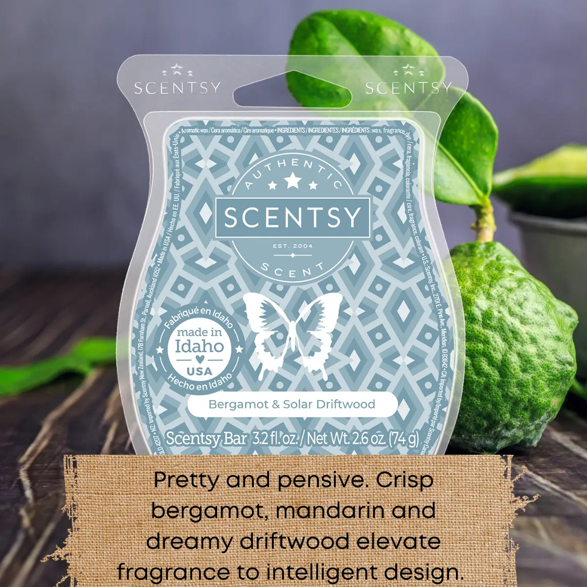 Scentsy Bring Back my Bar Winners January 2025