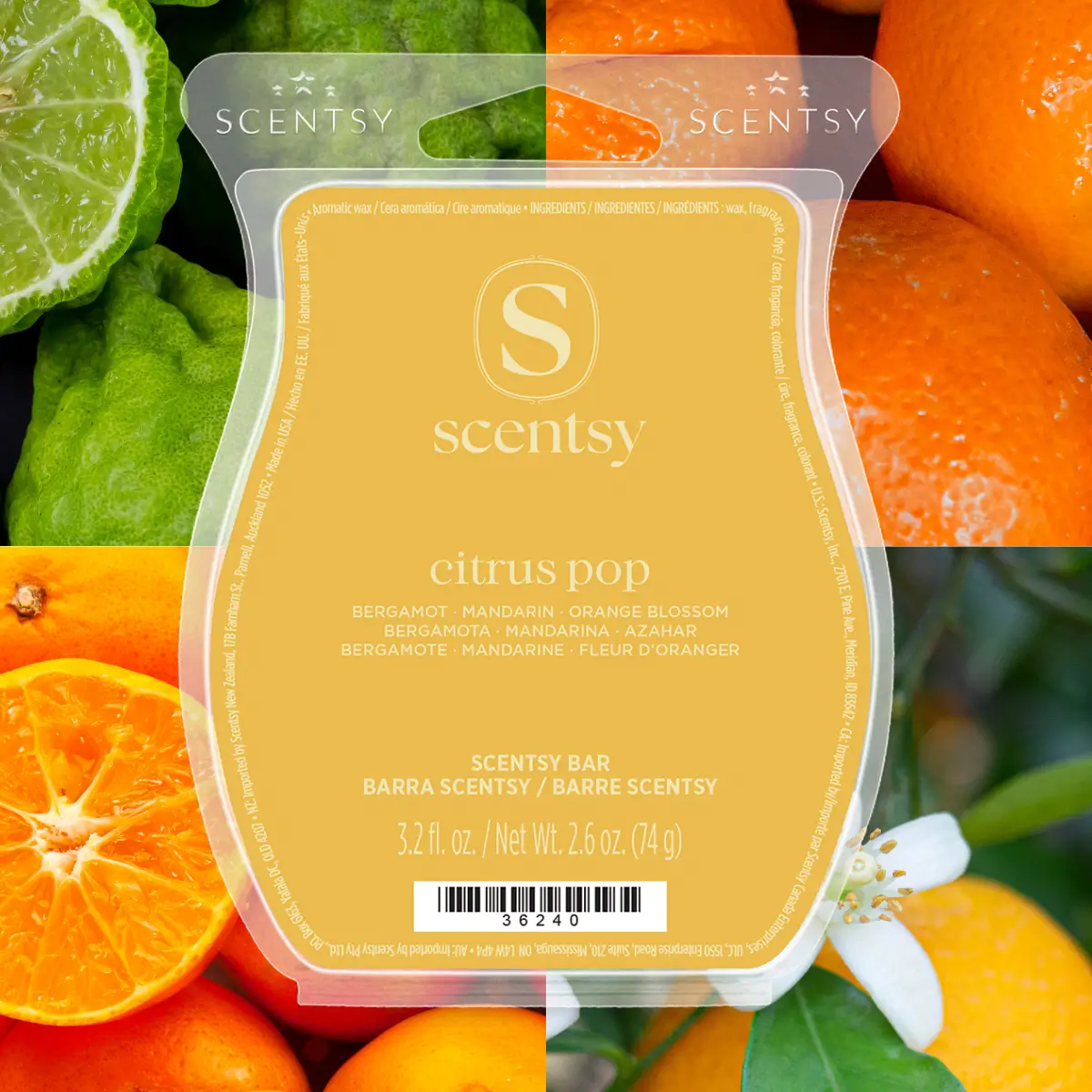 Citrus Pop Scentsy Wax Bar - June 2026 BBMB