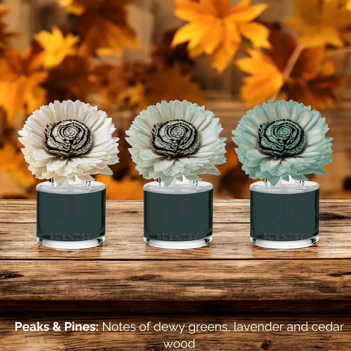 Peaks & Pines Sunflower Scentsy Fragrance Flower