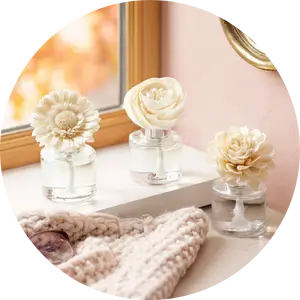 View the Scentsy 2025 Spring Summer Catalog Scent List
