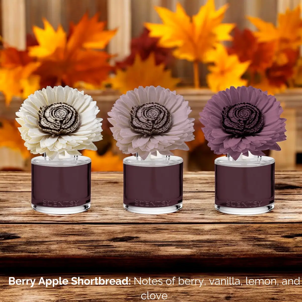 Berry Apple Shortbread Sunflower Scentsy Fragrance Flower